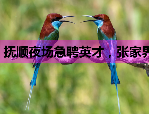 抚顺夜场急聘英才，张家界KTV、延边酒吧也有好岗等你来挑