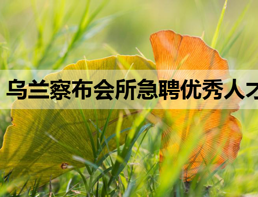 乌兰察布会所急聘优秀人才，中卫夜店模特与防城港酒吧公关职位空缺