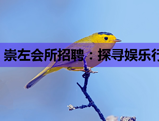崇左会所招聘：探寻娱乐行业新机遇