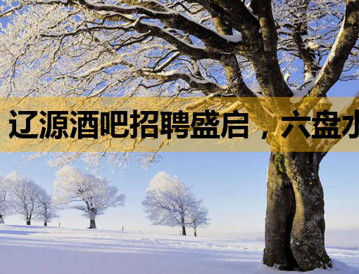 辽源酒吧招聘盛启，六盘水夜场公关同步招募，共谱开封KTV新篇章