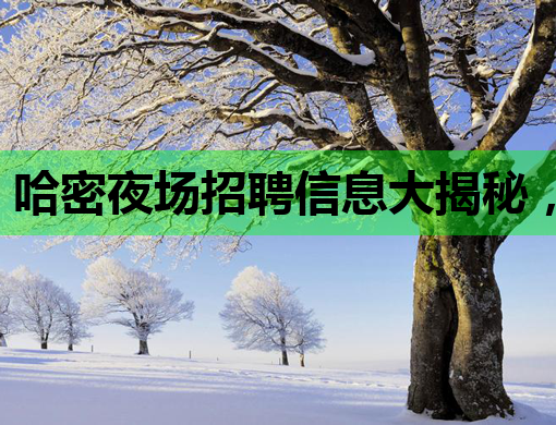 哈密夜场招聘信息大揭秘，高薪职位等你来挑战！