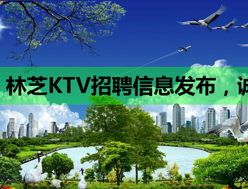 林芝KTV招聘信息发布，诚邀优秀人才加入！