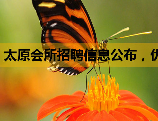 太原会所招聘信息公布，优质岗位等你来挑