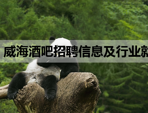 威海酒吧招聘信息及行业就业新动向