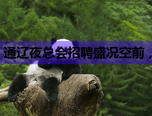 通辽夜总会招聘盛况空前，多地夜场职位炙手可热