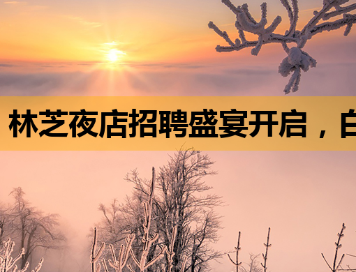 林芝夜店招聘盛宴开启，白银KTV招聘信息同步更新，渭南夜总会诚邀英才