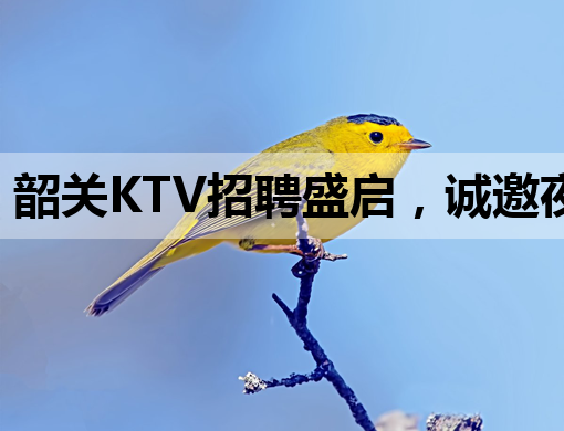 韶关KTV招聘盛启，诚邀夜场精英共创辉煌！