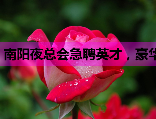 南阳夜总会急聘英才，豪华娱乐环境等你来挑战！