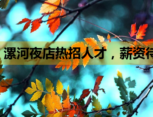 漯河夜店热招人才，薪资待遇优厚，不容错过！
