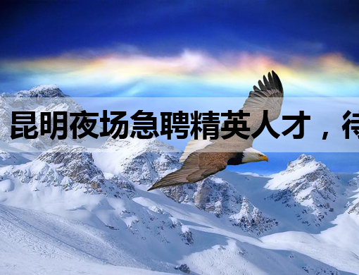 昆明夜场急聘精英人才，待遇优厚，机会难得！