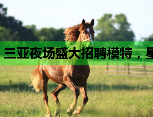 三亚夜场盛大招聘模特，星光璀璨等你来