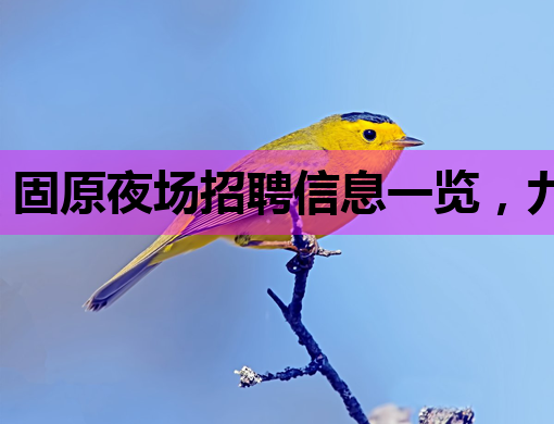 固原夜场招聘信息一览，九江会所招聘网同步更新，随州KTV行业也热招