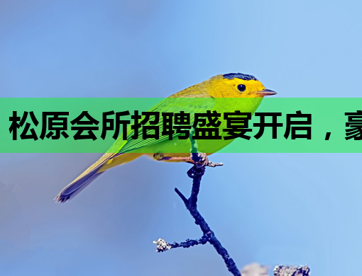 松原会所招聘盛宴开启，豪华阵容等你来加入！