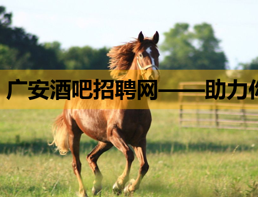 广安酒吧招聘网——助力你的夜生活职业之旅