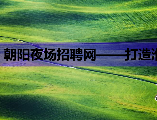 朝阳夜场招聘网——打造淮安荆州夜生活人才交流新平台