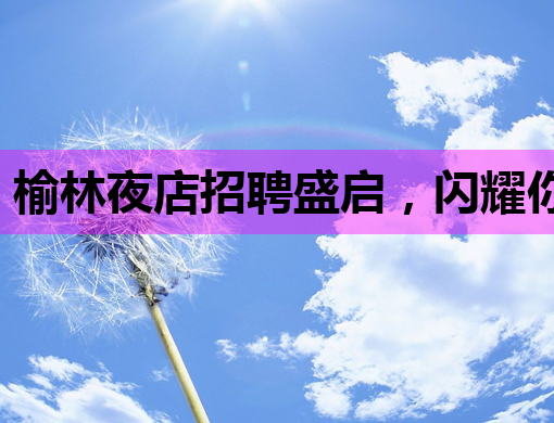 榆林夜店招聘盛启，闪耀你的夜生活！
