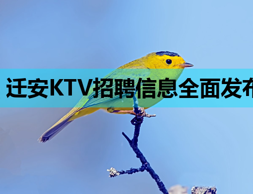迁安KTV招聘信息全面发布，诚招各路英才共创辉煌