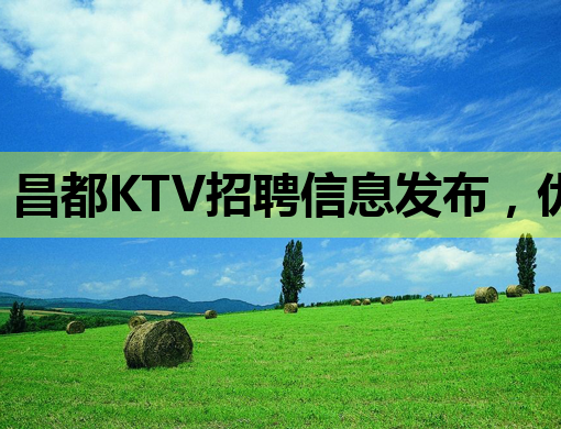 昌都KTV招聘信息发布，优质岗位等你来挑战！