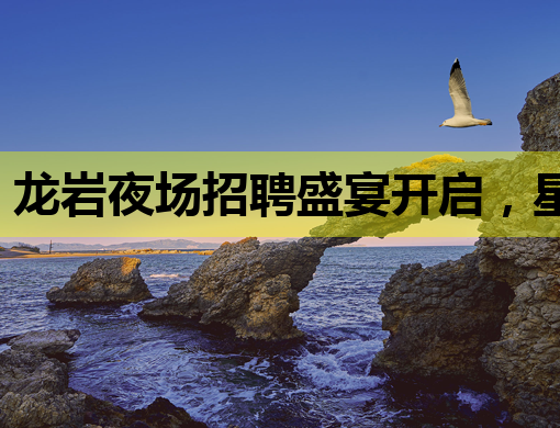 龙岩夜场招聘盛宴开启，星光璀璨等你来