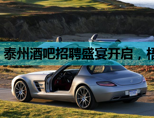 泰州酒吧招聘盛宴开启，梧州KTV、朔州会所同步纳新