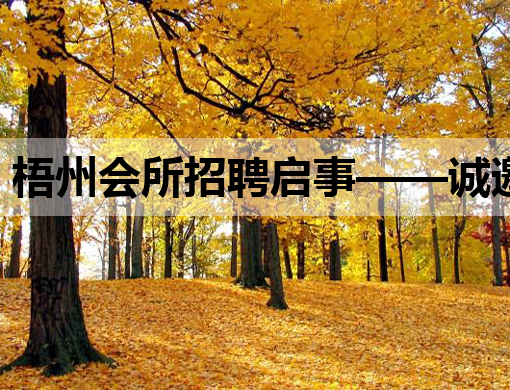 梧州会所招聘启事——诚邀优秀人才共创辉煌