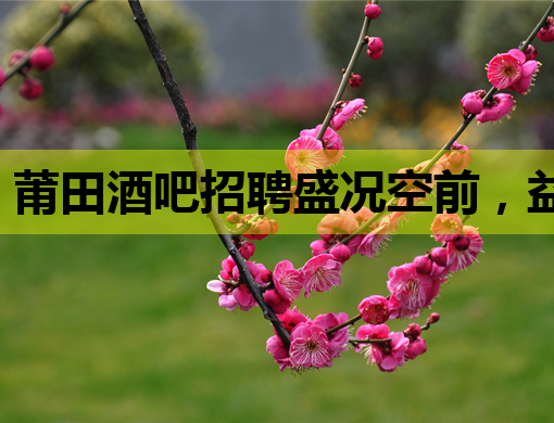 莆田酒吧招聘盛况空前，益阳夜店招聘信息同步更新，常州KTV也迎来新机遇