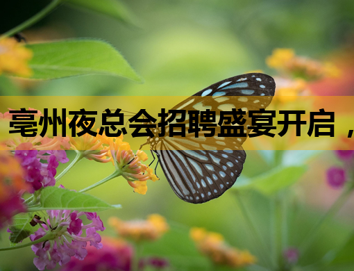 亳州夜总会招聘盛宴开启，豪华阵容等你来加入