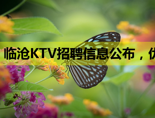 临沧KTV招聘信息公布，优质岗位等你来挑战！