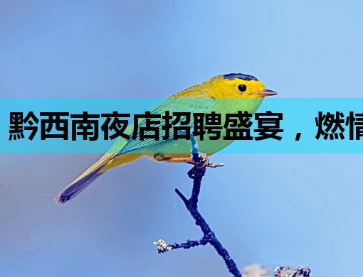 黔西南夜店招聘盛宴，燃情启幕，诚邀英才共襄盛举！