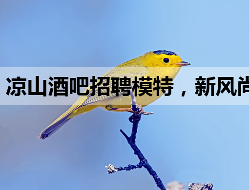 凉山酒吧招聘模特，新风尚引领夜生活潮流