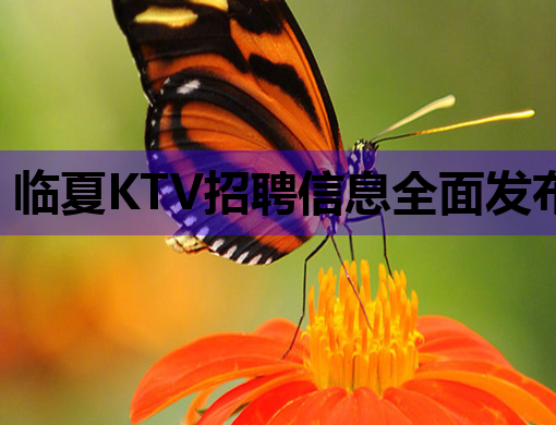 临夏KTV招聘信息全面发布，优质岗位等你来挑战！