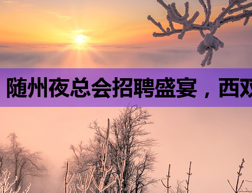 随州夜总会招聘盛宴，西双版纳夜场与驻马店KTV行业新动向