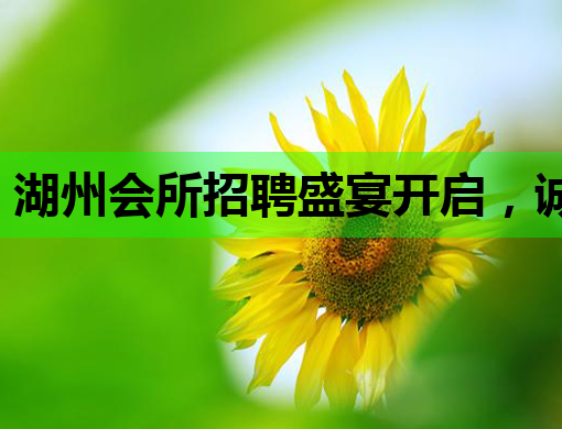 湖州会所招聘盛宴开启，诚邀精英共创辉煌