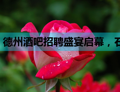 德州酒吧招聘盛宴启幕，石河子夜总会诚邀英才，巴中会所共谱夜生活新篇章
