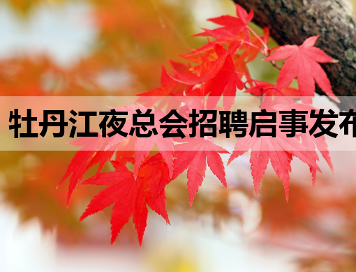 牡丹江夜总会招聘启事发布，优质岗位等你来