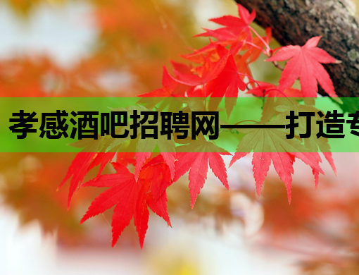 孝感酒吧招聘网——打造专业夜场人才交流平台