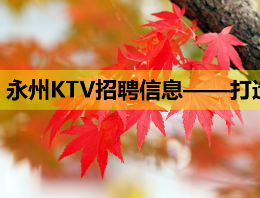 永州KTV招聘信息——打造娱乐新风尚，诚邀您的加入！
