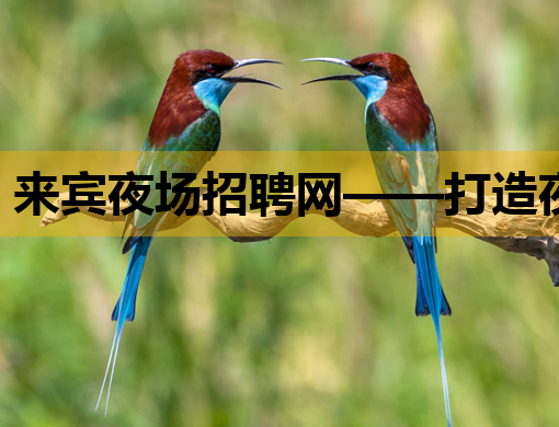 来宾夜场招聘网——打造夜生活行业人才交流新平台
