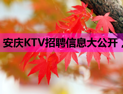 安庆KTV招聘信息大公开，优质岗位等你来挑战！