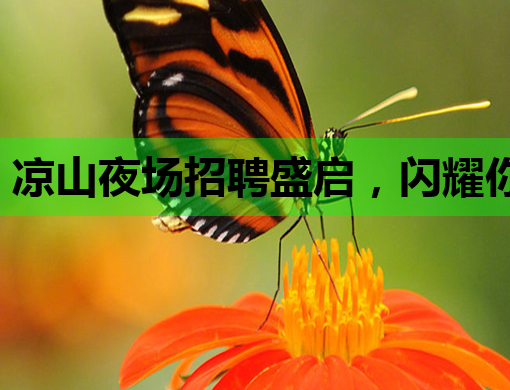 凉山夜场招聘盛启，闪耀你的夜生活职场之路