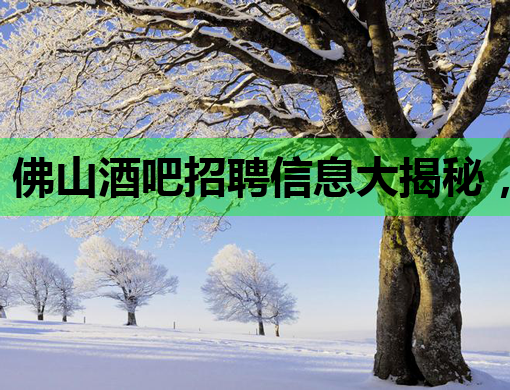 佛山酒吧招聘信息大揭秘，优质岗位等你来挑战！