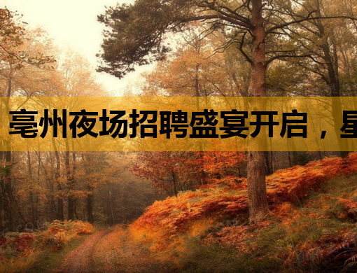 亳州夜场招聘盛宴开启，星光璀璨等你来