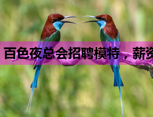 百色夜总会招聘模特，薪资待遇优厚，机会不容错过！