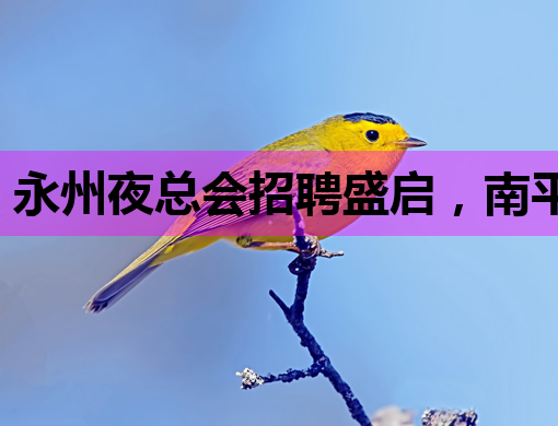 永州夜总会招聘盛启，南平酒吧、鹰潭夜店同步纳新！