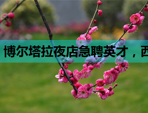 博尔塔拉夜店急聘英才，西安KTV招聘网助力就业新选择