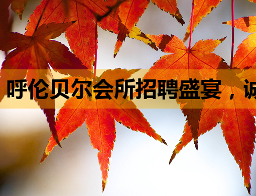 呼伦贝尔会所招聘盛宴，诚邀行业精英共创辉煌
