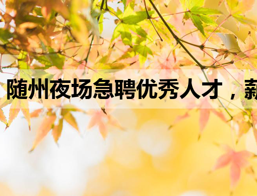 随州夜场急聘优秀人才，薪资待遇优厚，机不可失！