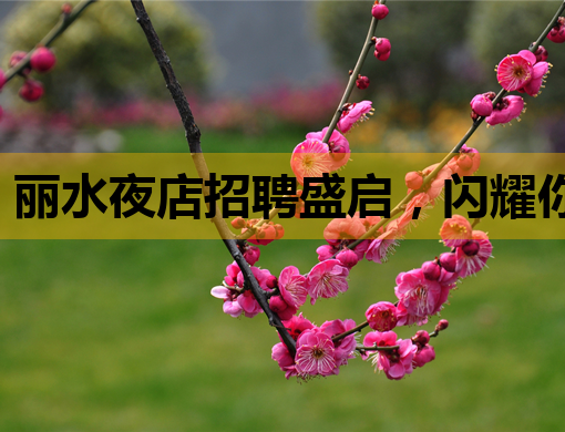 丽水夜店招聘盛启，闪耀你的夜生活！