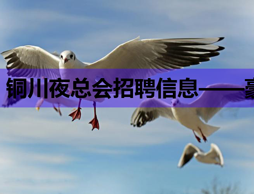铜川夜总会招聘信息——豪华娱乐场所诚邀您的加入