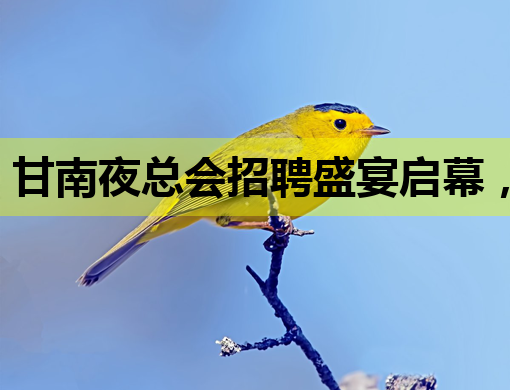 甘南夜总会招聘盛宴启幕，模特岗位等你来挑战